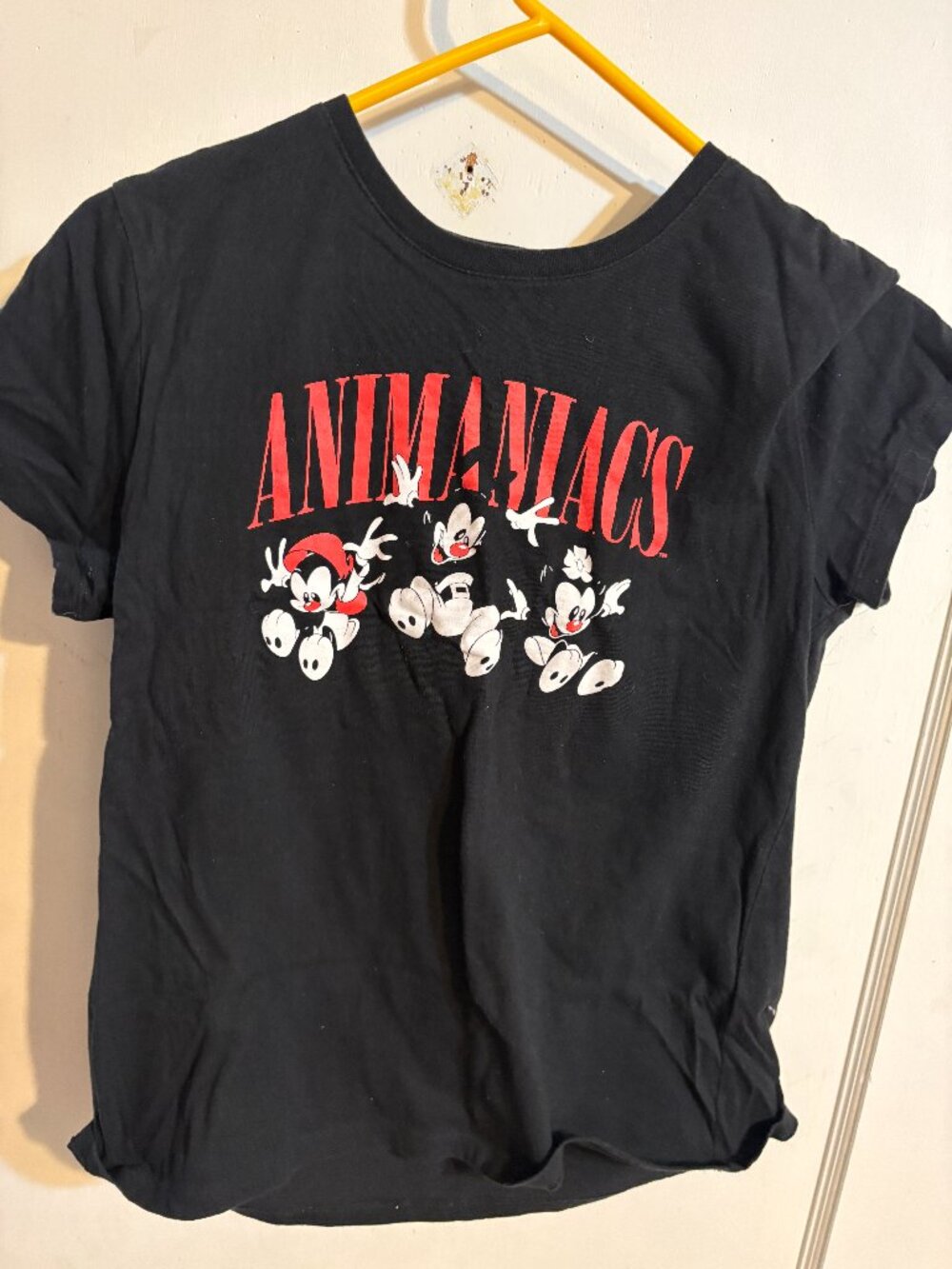 AWESOME - Animaniacs - Black Cast Graphic T Shirt - Women's Size Small
